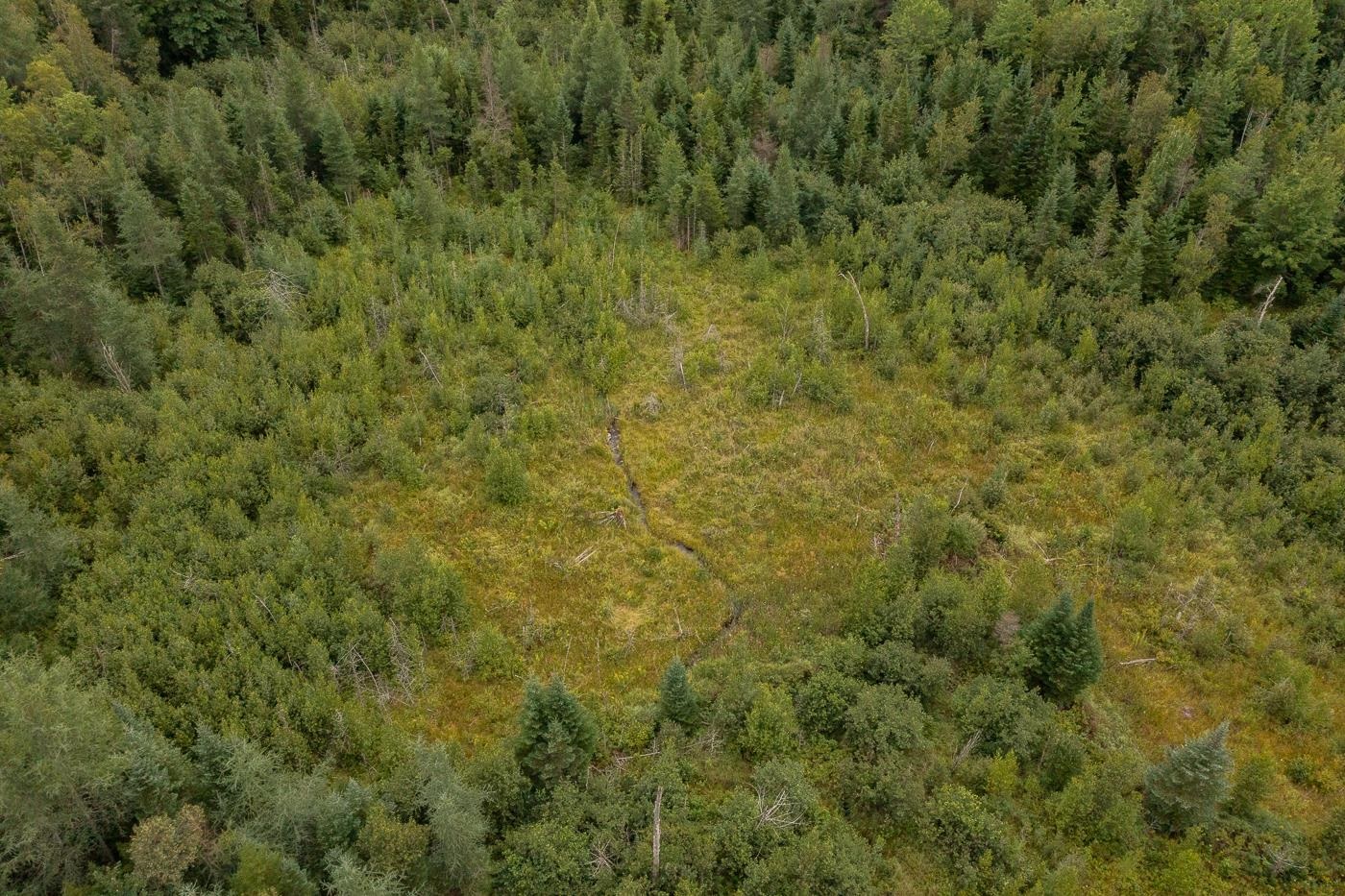 82 Colby Road, Unit 4 Whitefield, NH 03598 - Photo 6 of 11