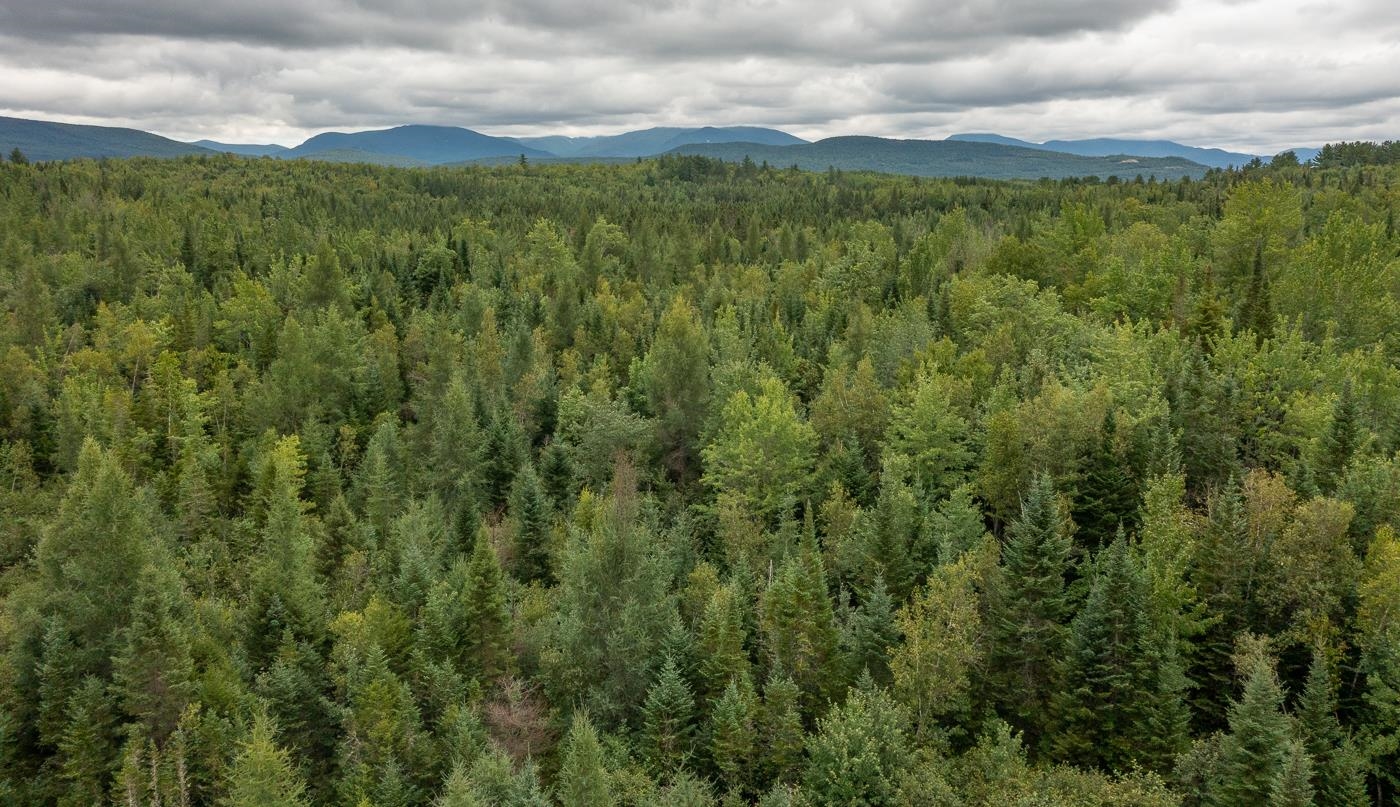 82 Colby Road, Unit 4 Whitefield, NH 03598 - Photo 7 of 11