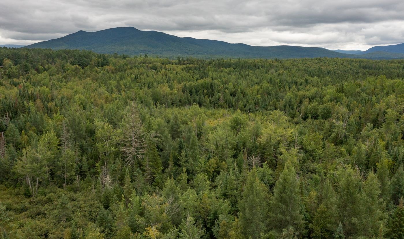 82 Colby Road, Unit 4 Whitefield, NH 03598 - Photo 10 of 11