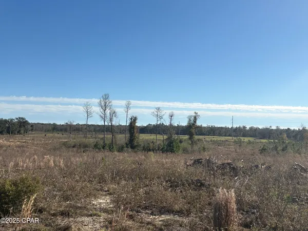 $575,000 | 4980 Heisler Road, Graceville, FL 32440