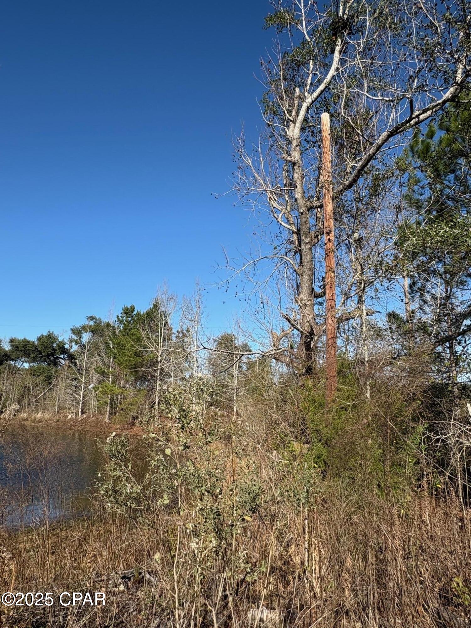 4980 Heisler Road Graceville, FL 32440 - Photo 11 of 73