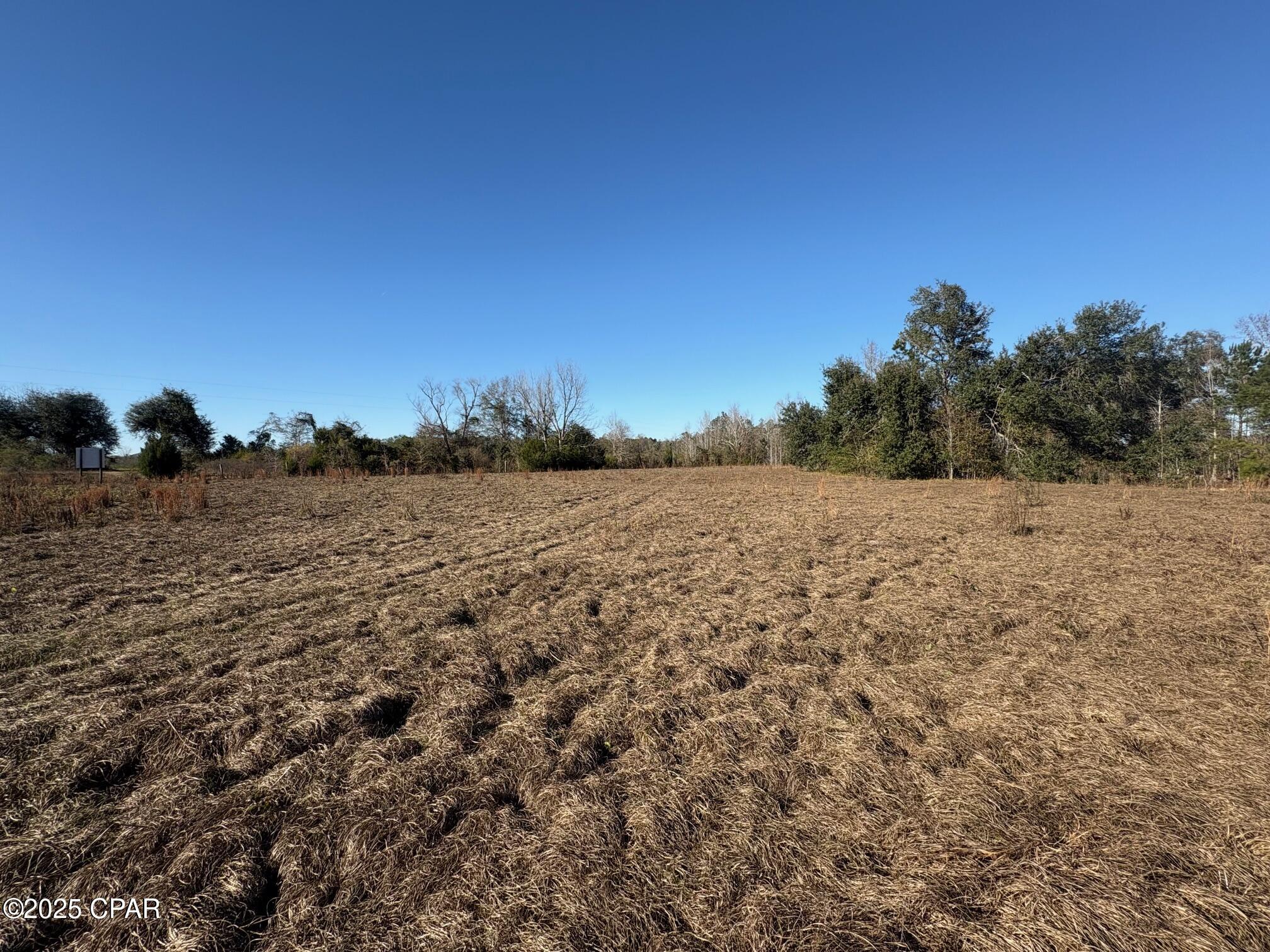 4980 Heisler Road Graceville, FL 32440 - Photo 13 of 73