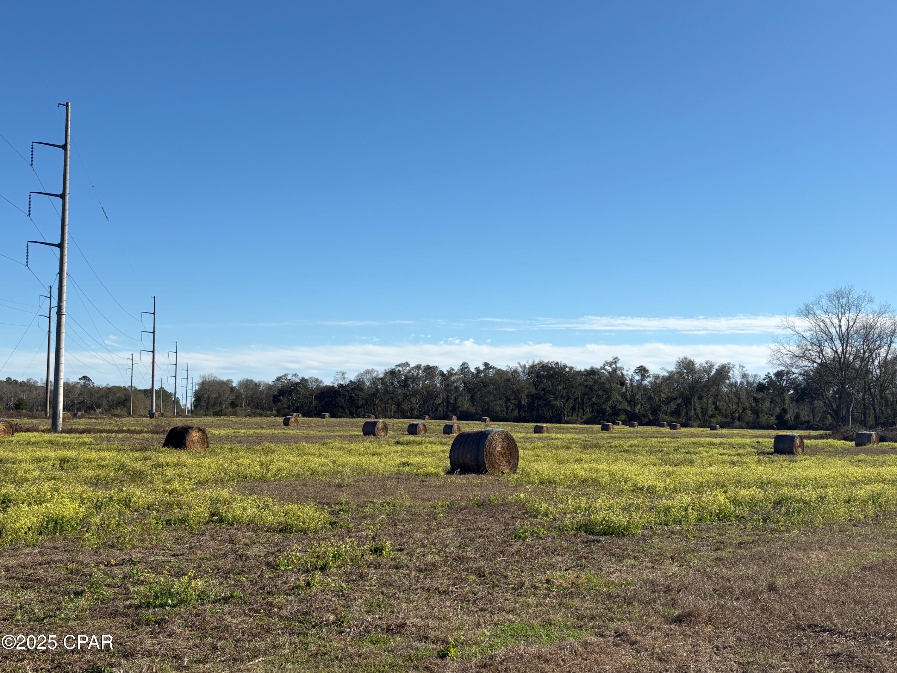 4980 Heisler Road Graceville, FL 32440 - Photo 14 of 73