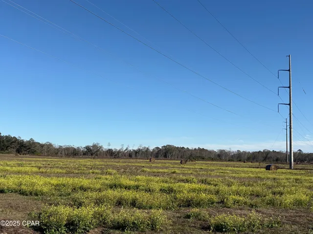 $575,000 | 4980 Heisler Road, Graceville, FL 32440