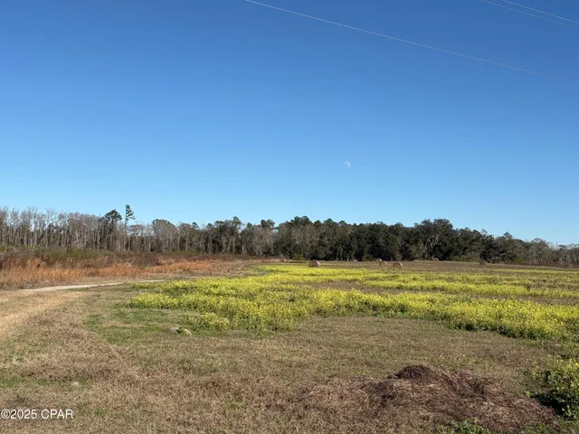 $575,000 | 4980 Heisler Road, Graceville, FL 32440