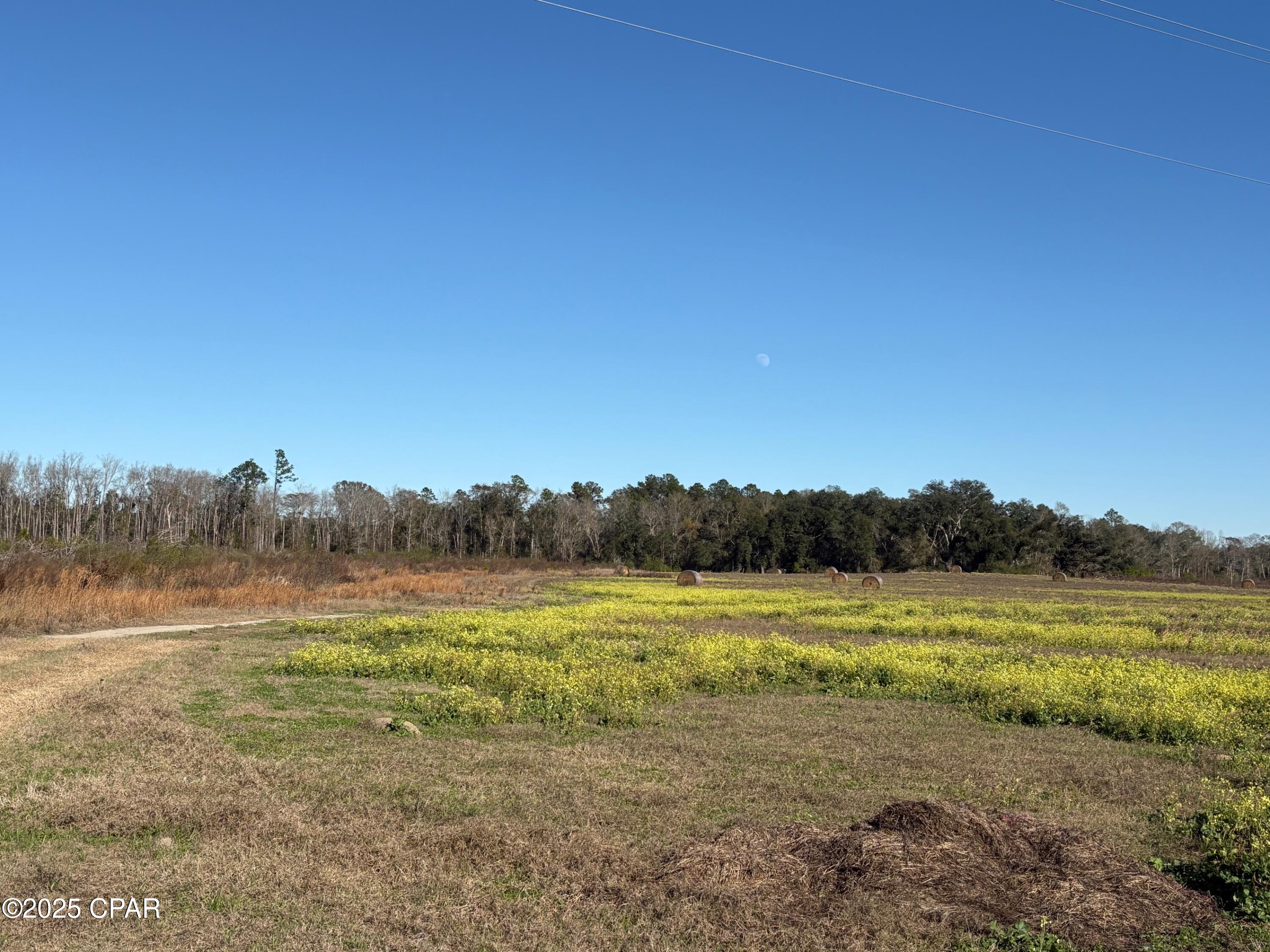 4980 Heisler Road Graceville, FL 32440 - Photo 16 of 73