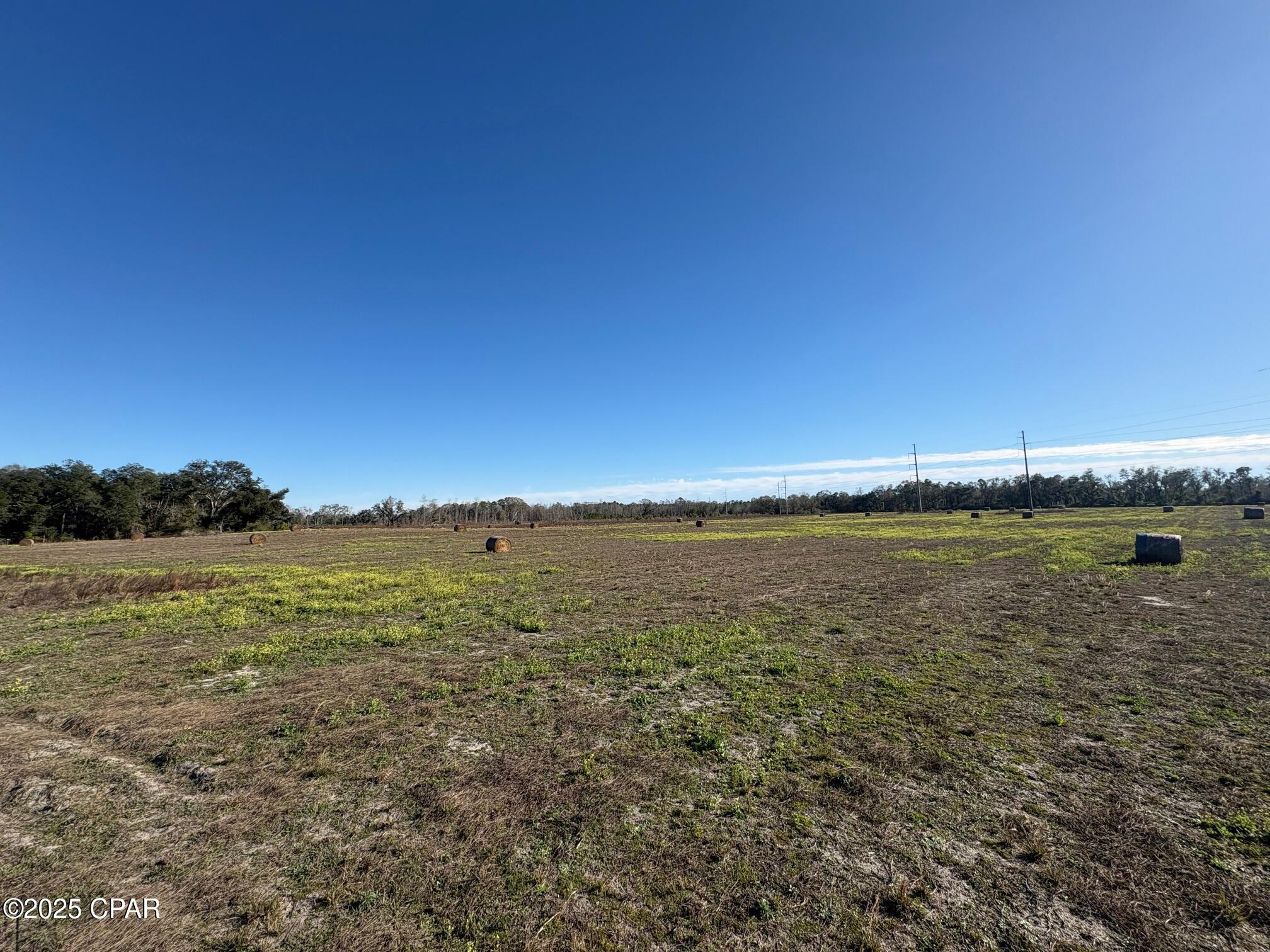 4980 Heisler Road Graceville, FL 32440 - Photo 18 of 73