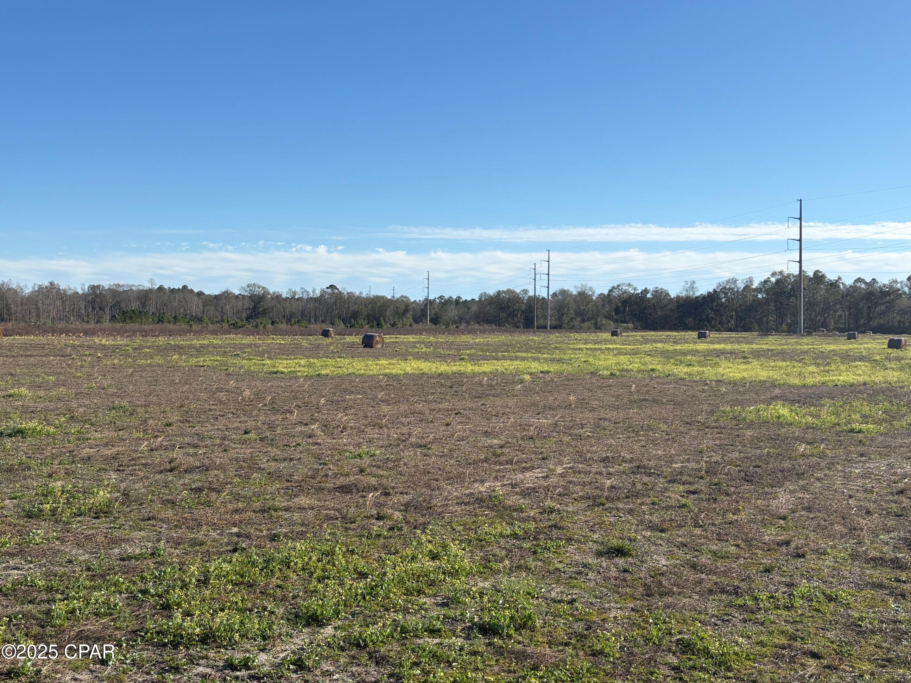 4980 Heisler Road Graceville, FL 32440 - Photo 19 of 73