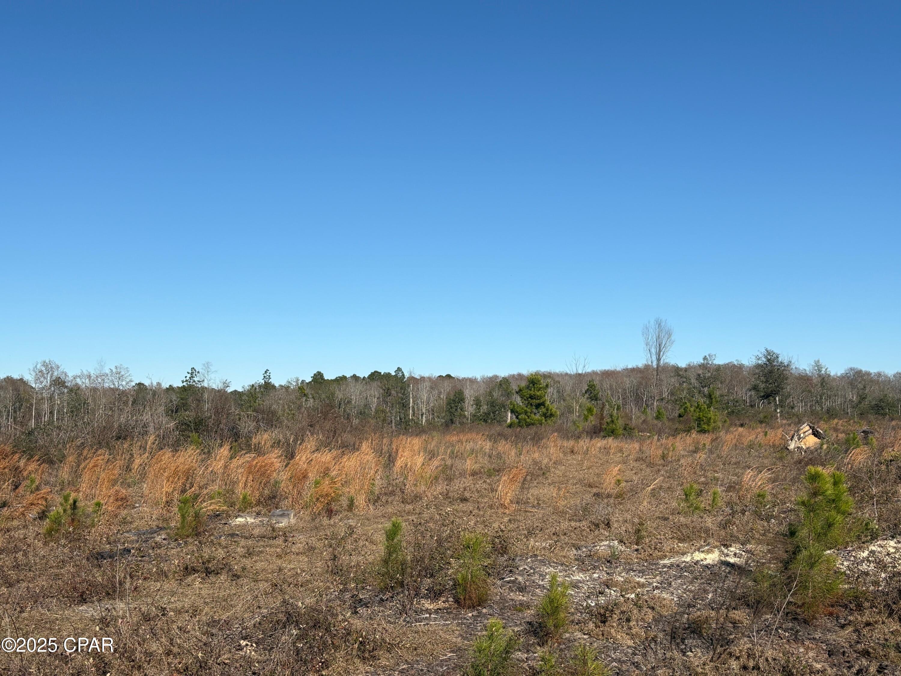 4980 Heisler Road Graceville, FL 32440 - Photo 2 of 73