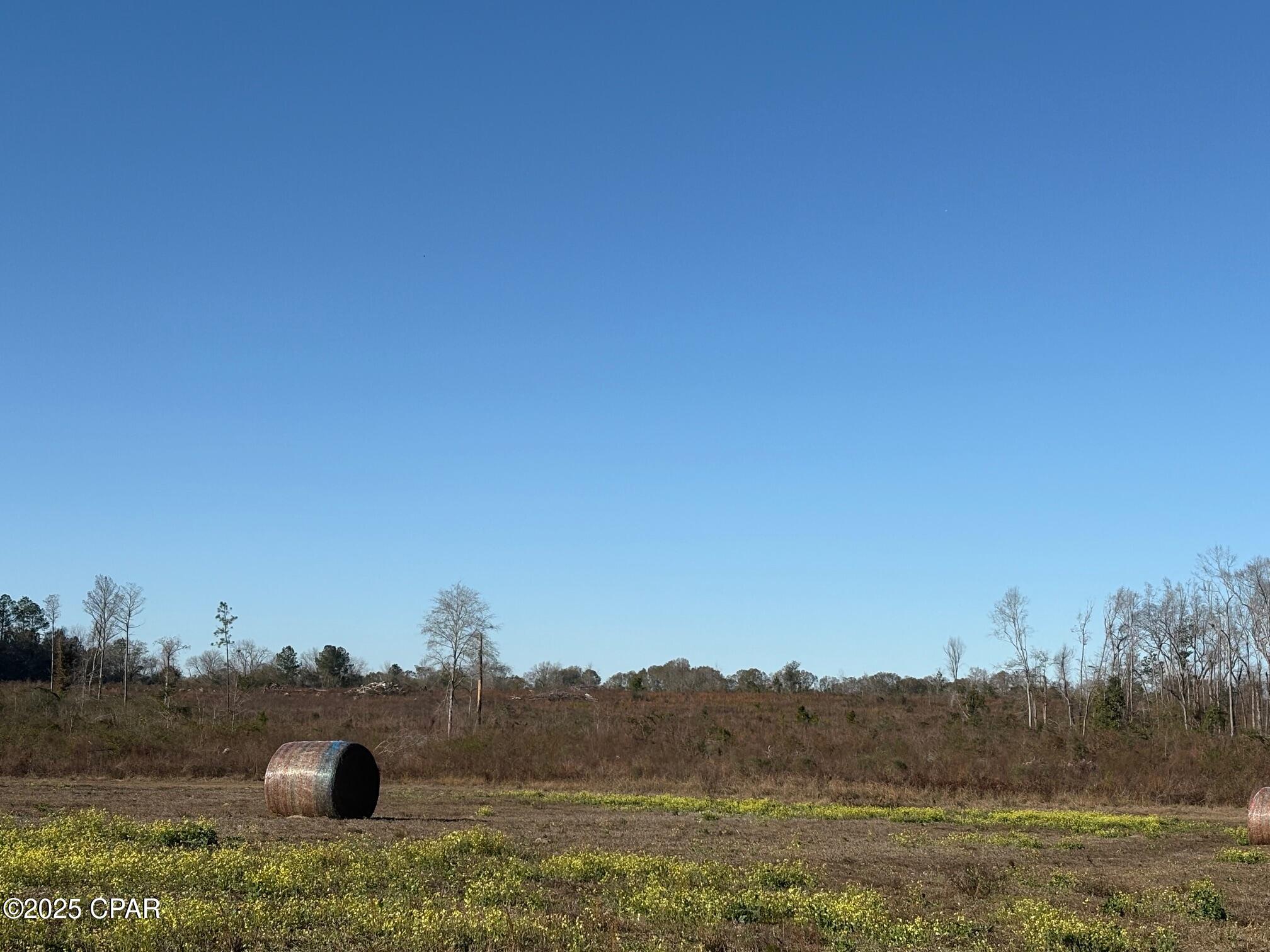 4980 Heisler Road Graceville, FL 32440 - Photo 21 of 73