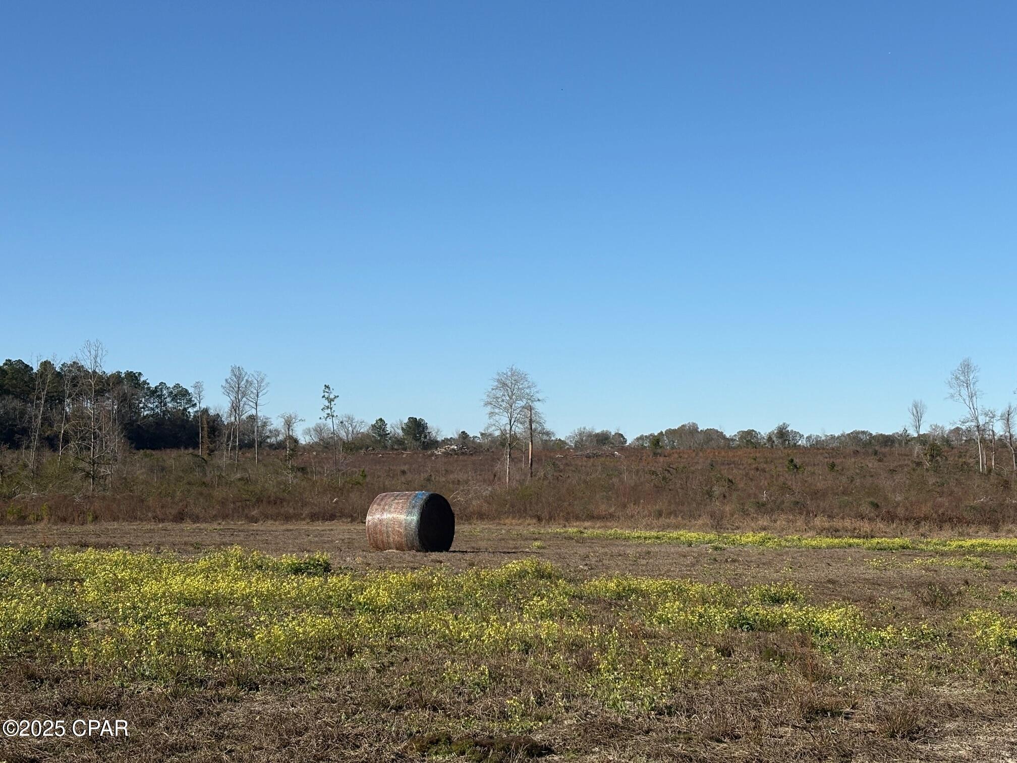 4980 Heisler Road Graceville, FL 32440 - Photo 22 of 73