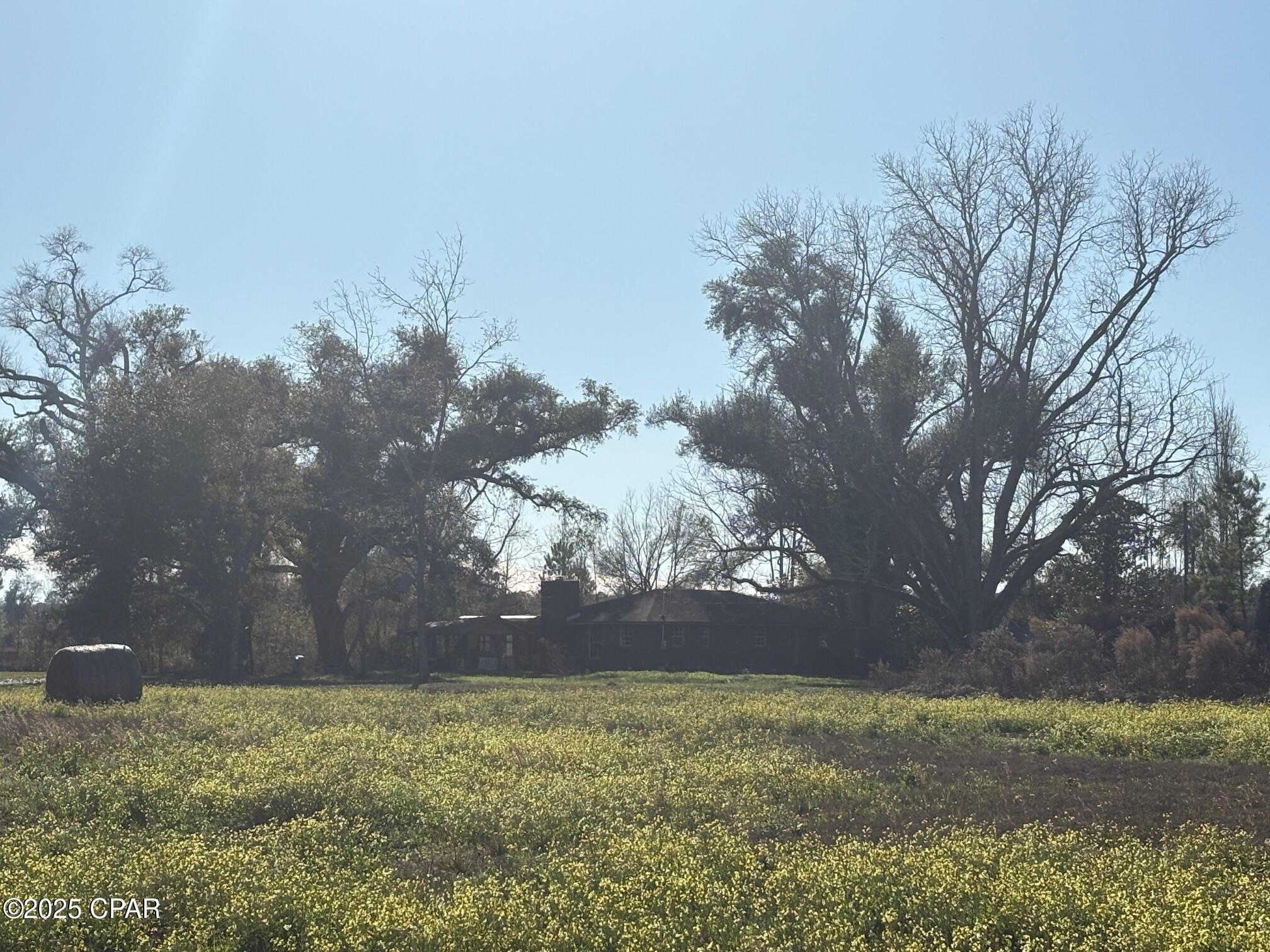 4980 Heisler Road Graceville, FL 32440 - Photo 23 of 73