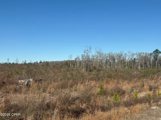 $575,000 | 4980 Heisler Road, Graceville, FL 32440