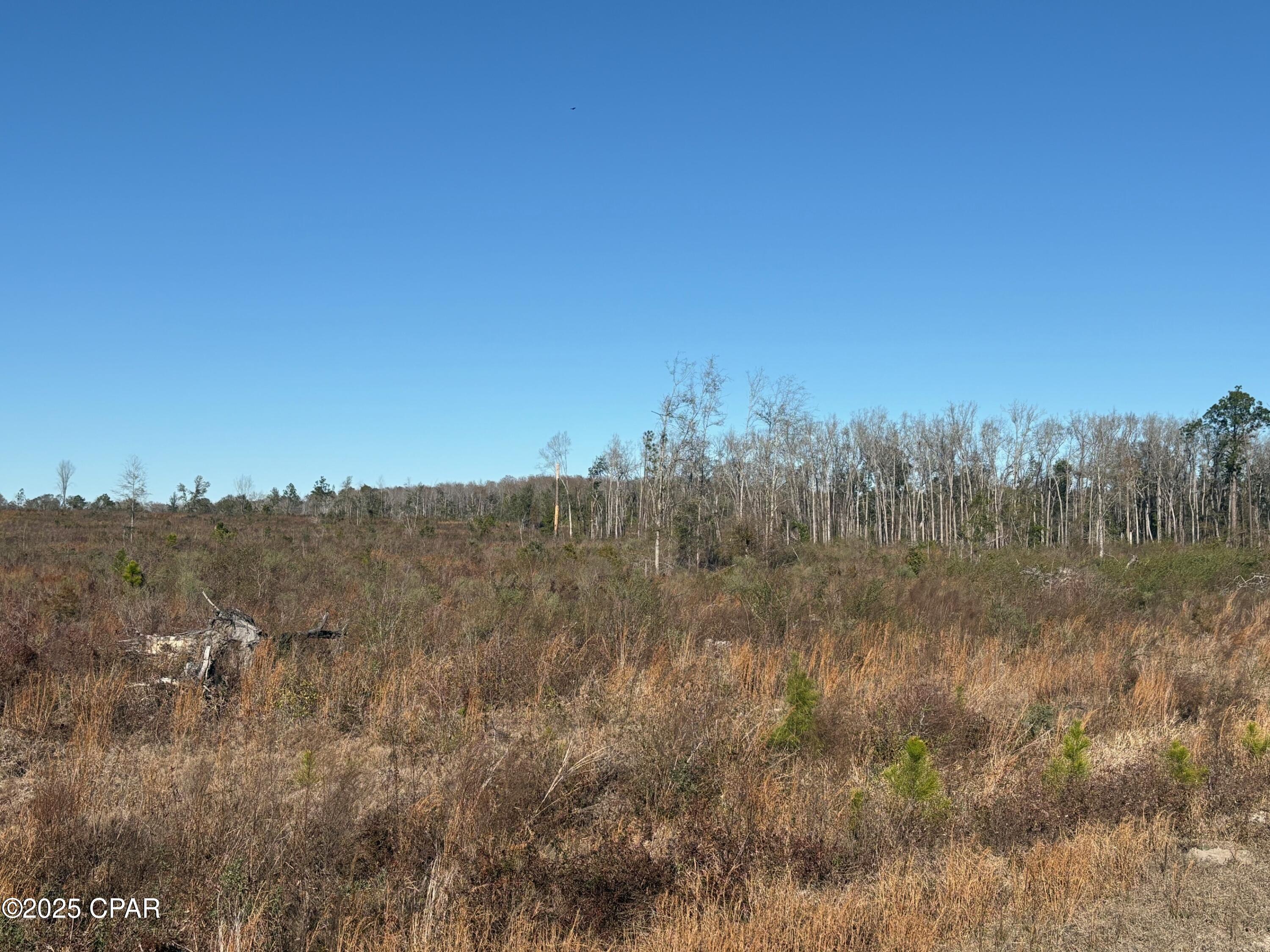 4980 Heisler Road Graceville, FL 32440 - Photo 25 of 73