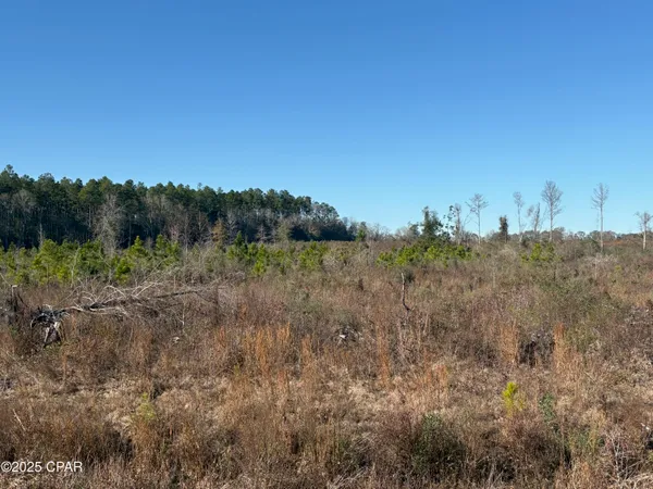 $575,000 | 4980 Heisler Road, Graceville, FL 32440