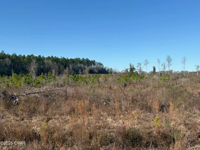 $575,000 | 4980 Heisler Road, Graceville, FL 32440