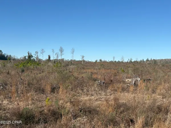$575,000 | 4980 Heisler Road, Graceville, FL 32440
