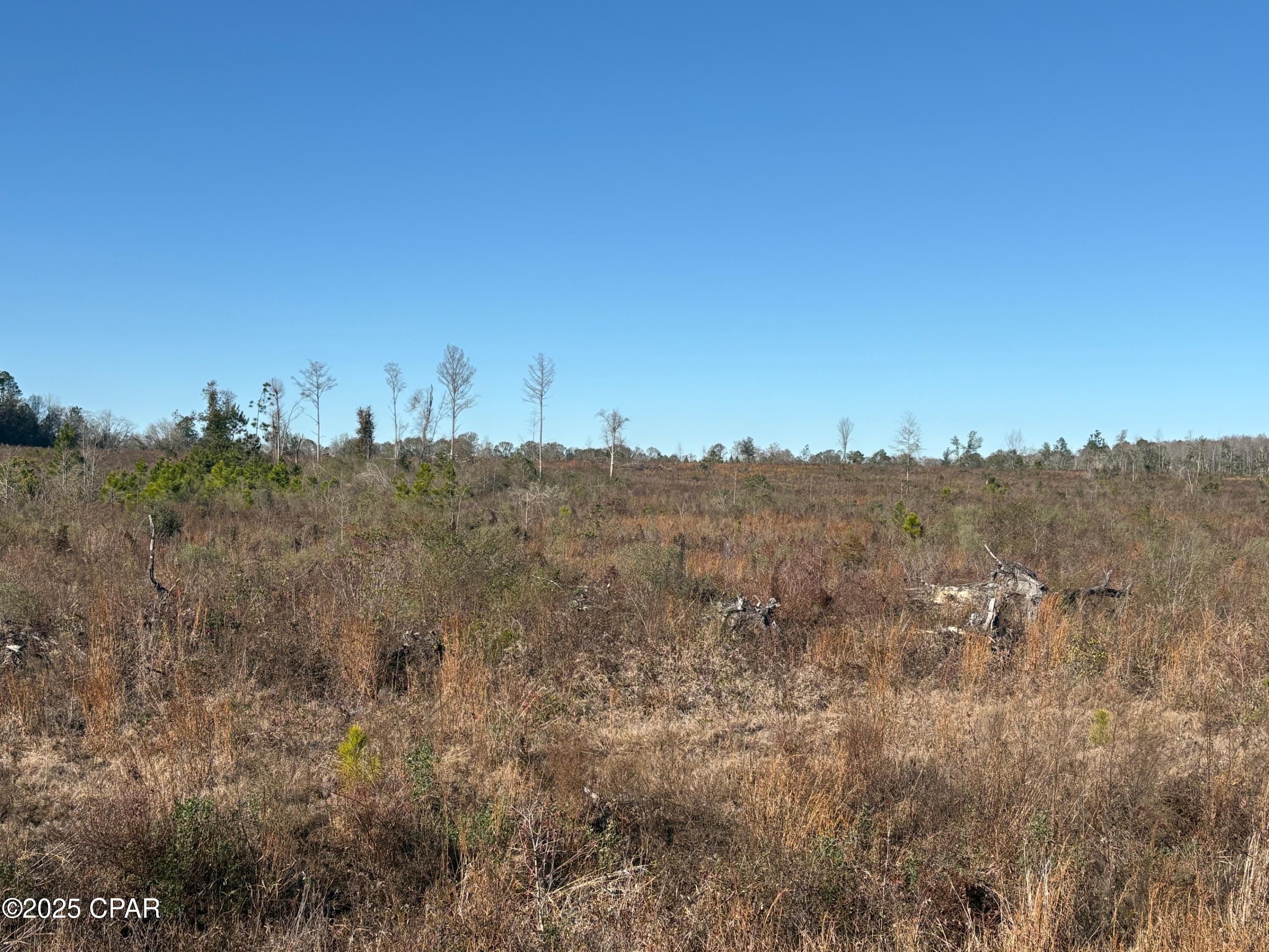 4980 Heisler Road Graceville, FL 32440 - Photo 27 of 73