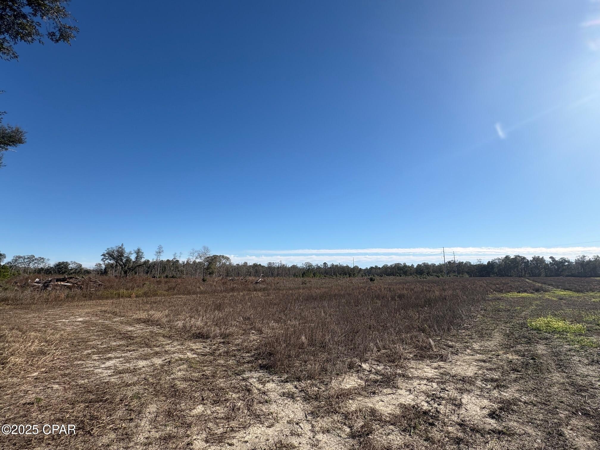 4980 Heisler Road Graceville, FL 32440 - Photo 28 of 73