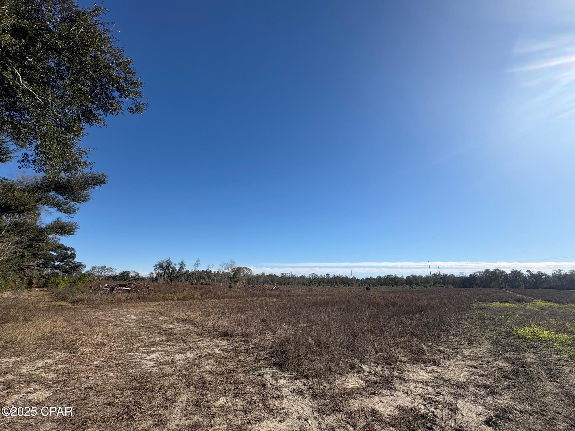 4980 Heisler Road Graceville, FL 32440 - Photo 29 of 73