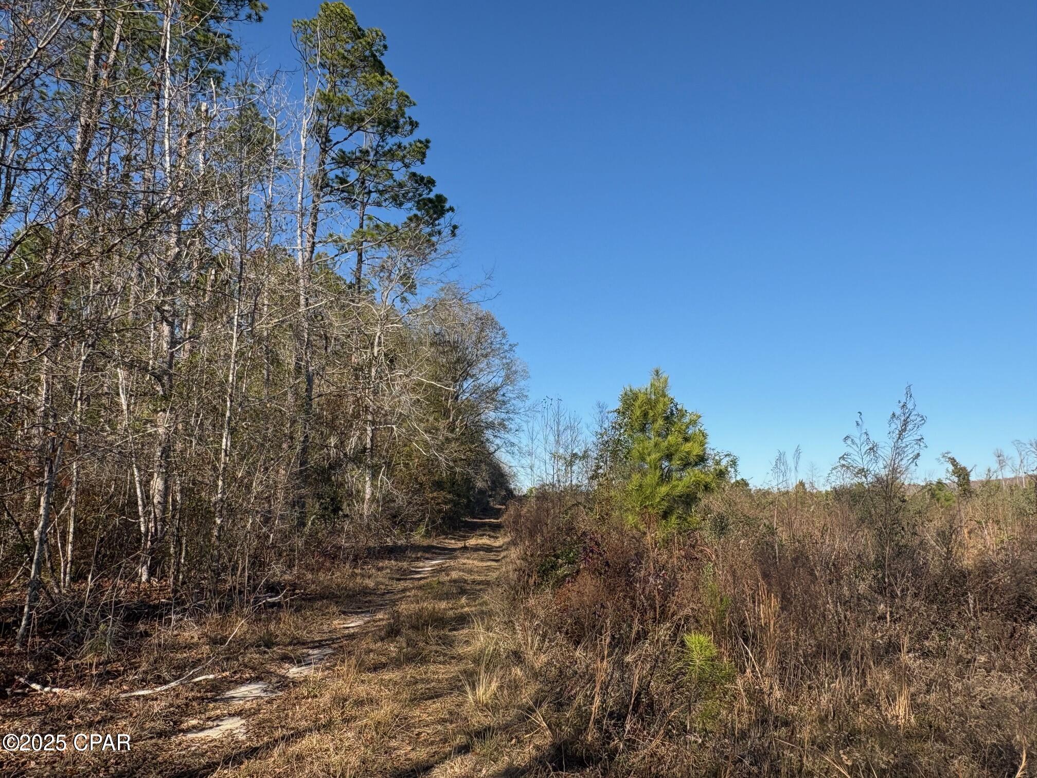 4980 Heisler Road Graceville, FL 32440 - Photo 30 of 73