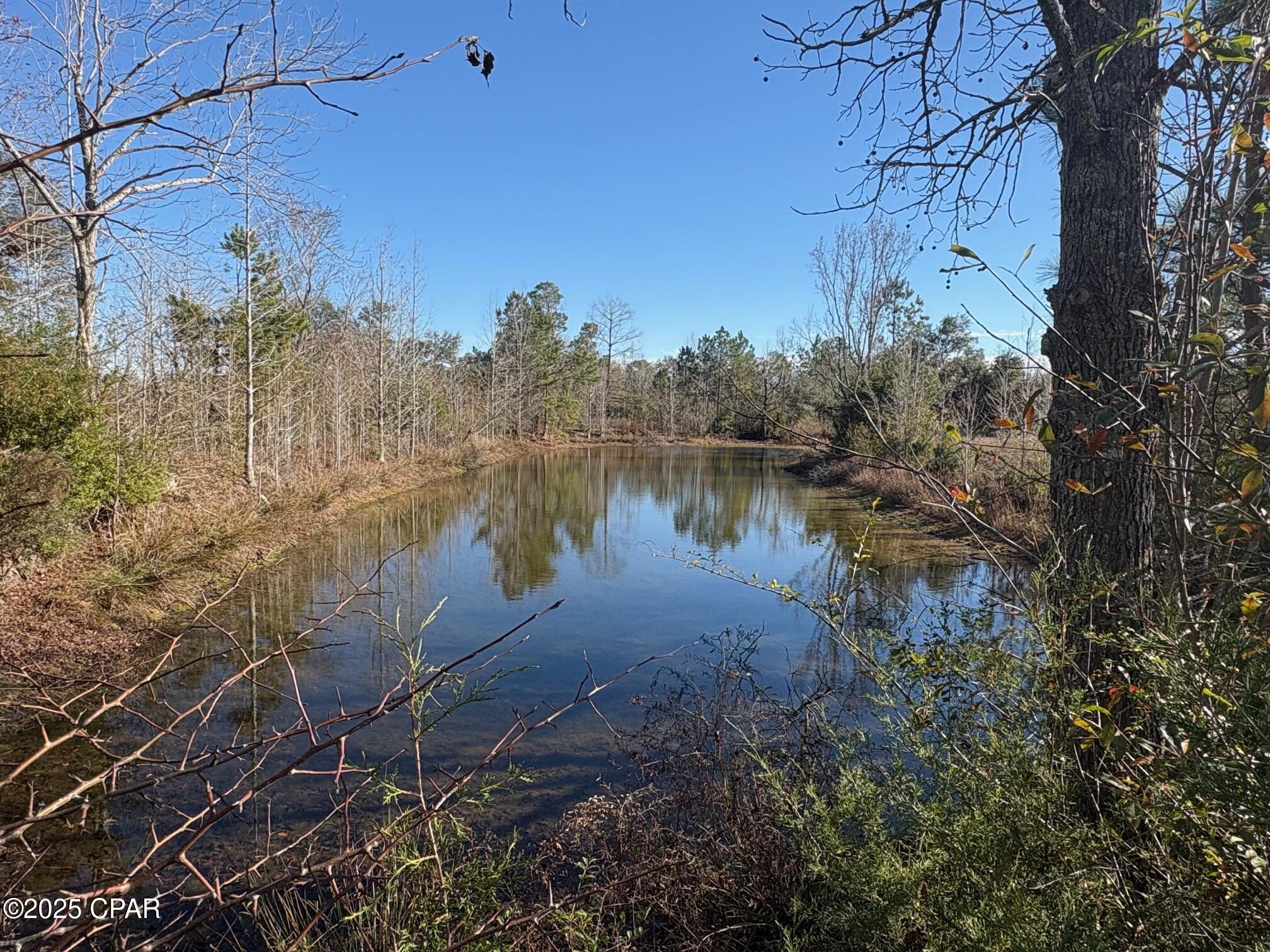 4980 Heisler Road Graceville, FL 32440 - Photo 3 of 73