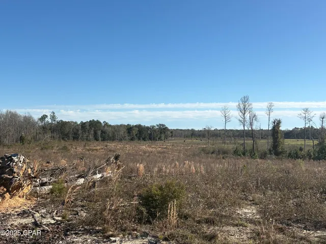 $575,000 | 4980 Heisler Road, Graceville, FL 32440