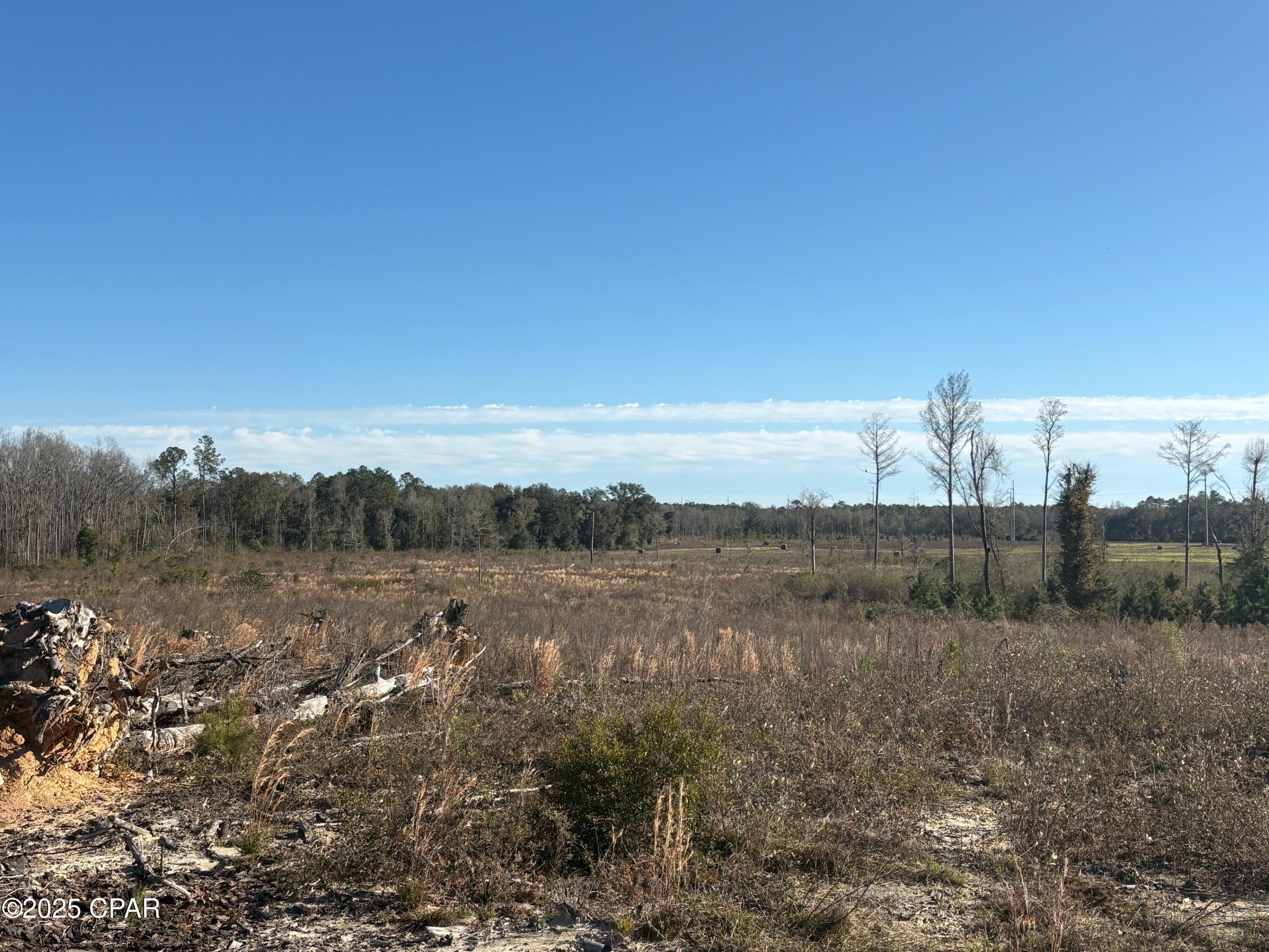 4980 Heisler Road Graceville, FL 32440 - Photo 32 of 73