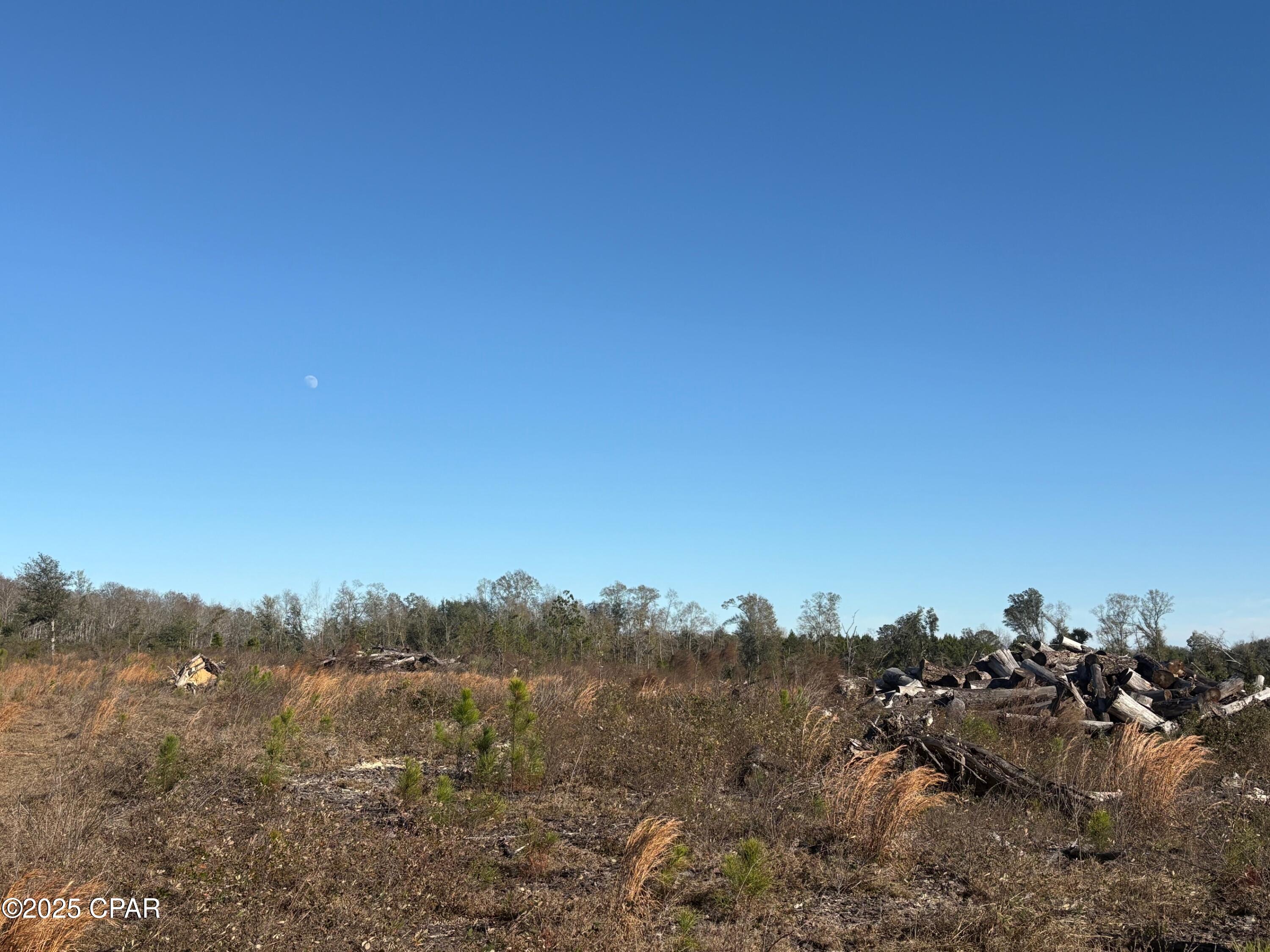 4980 Heisler Road Graceville, FL 32440 - Photo 33 of 73