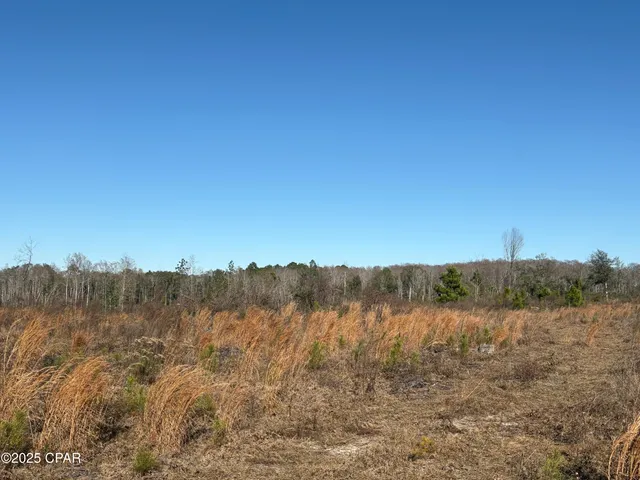 $575,000 | 4980 Heisler Road, Graceville, FL 32440