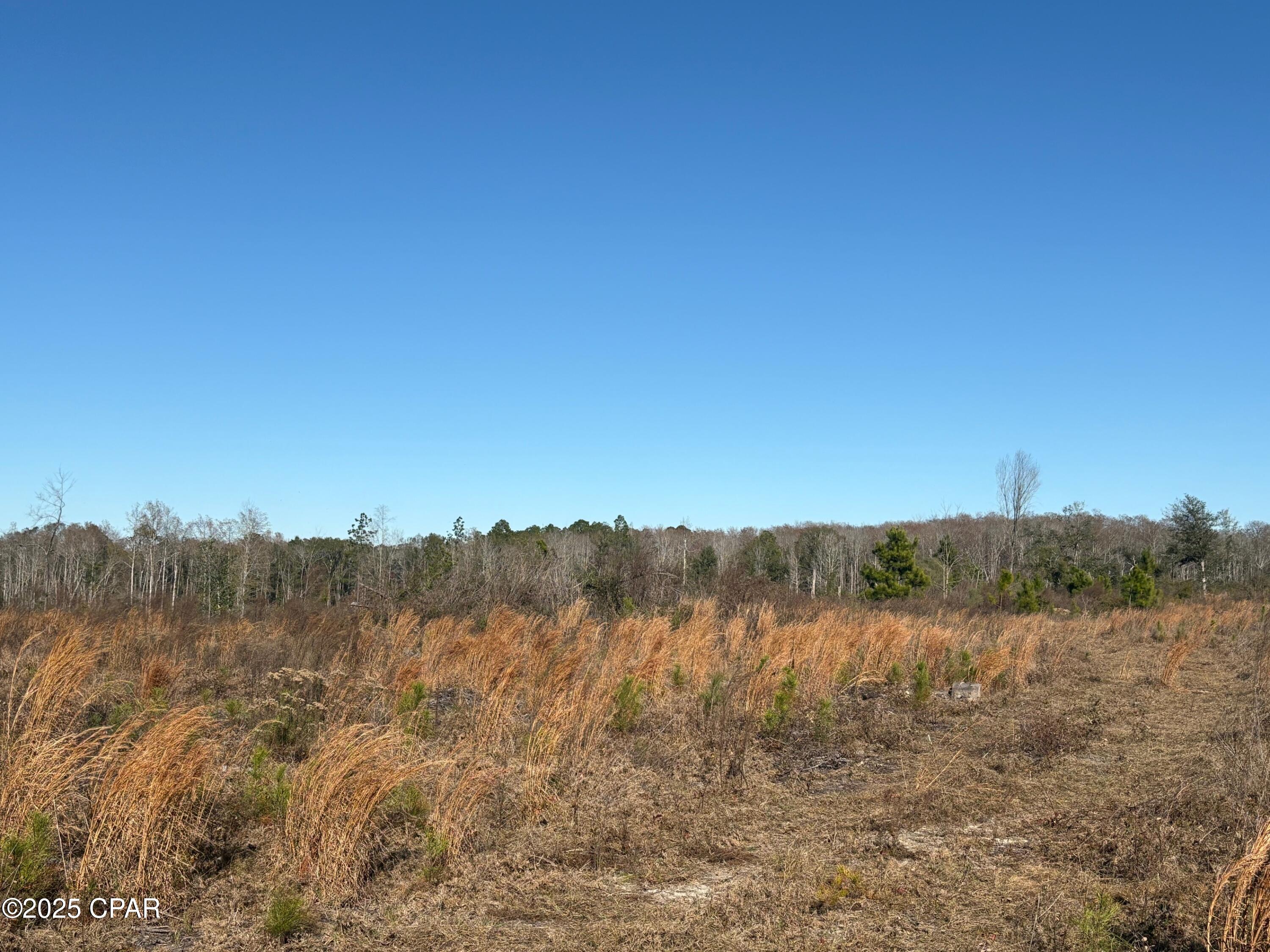 4980 Heisler Road Graceville, FL 32440 - Photo 34 of 73