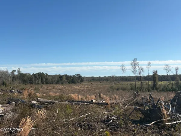 $575,000 | 4980 Heisler Road, Graceville, FL 32440