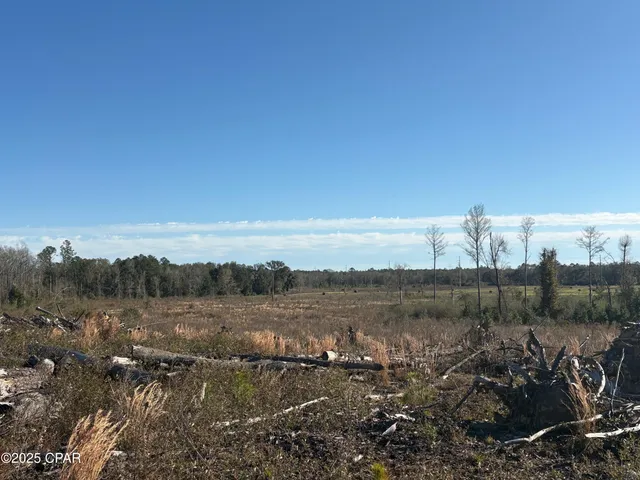 $575,000 | 4980 Heisler Road, Graceville, FL 32440