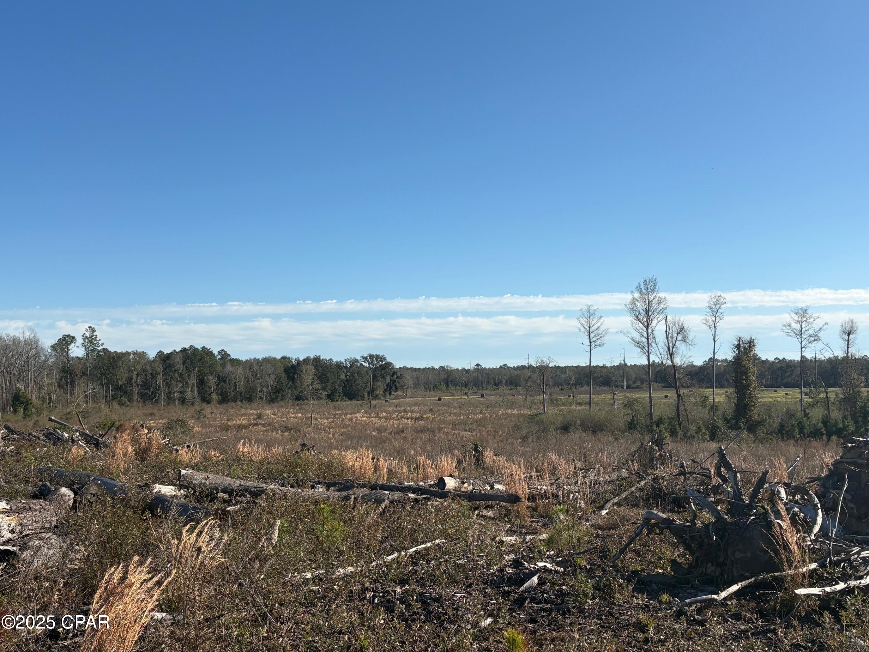 4980 Heisler Road Graceville, FL 32440 - Photo 35 of 73