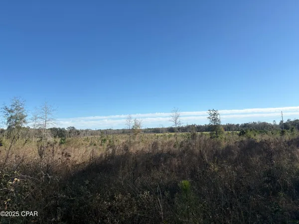 $575,000 | 4980 Heisler Road, Graceville, FL 32440