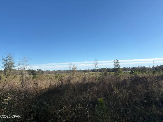 $575,000 | 4980 Heisler Road, Graceville, FL 32440