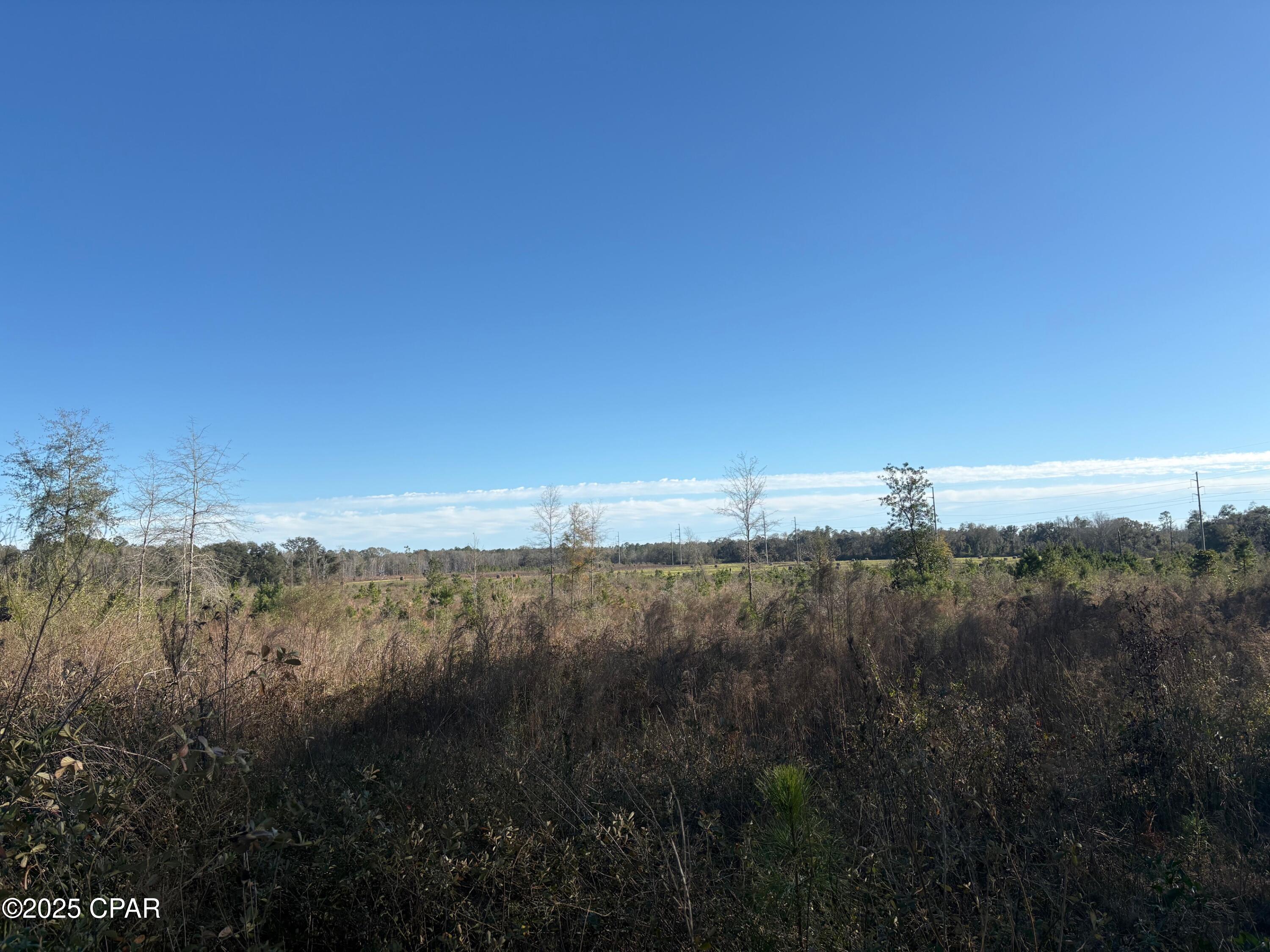 4980 Heisler Road Graceville, FL 32440 - Photo 36 of 73