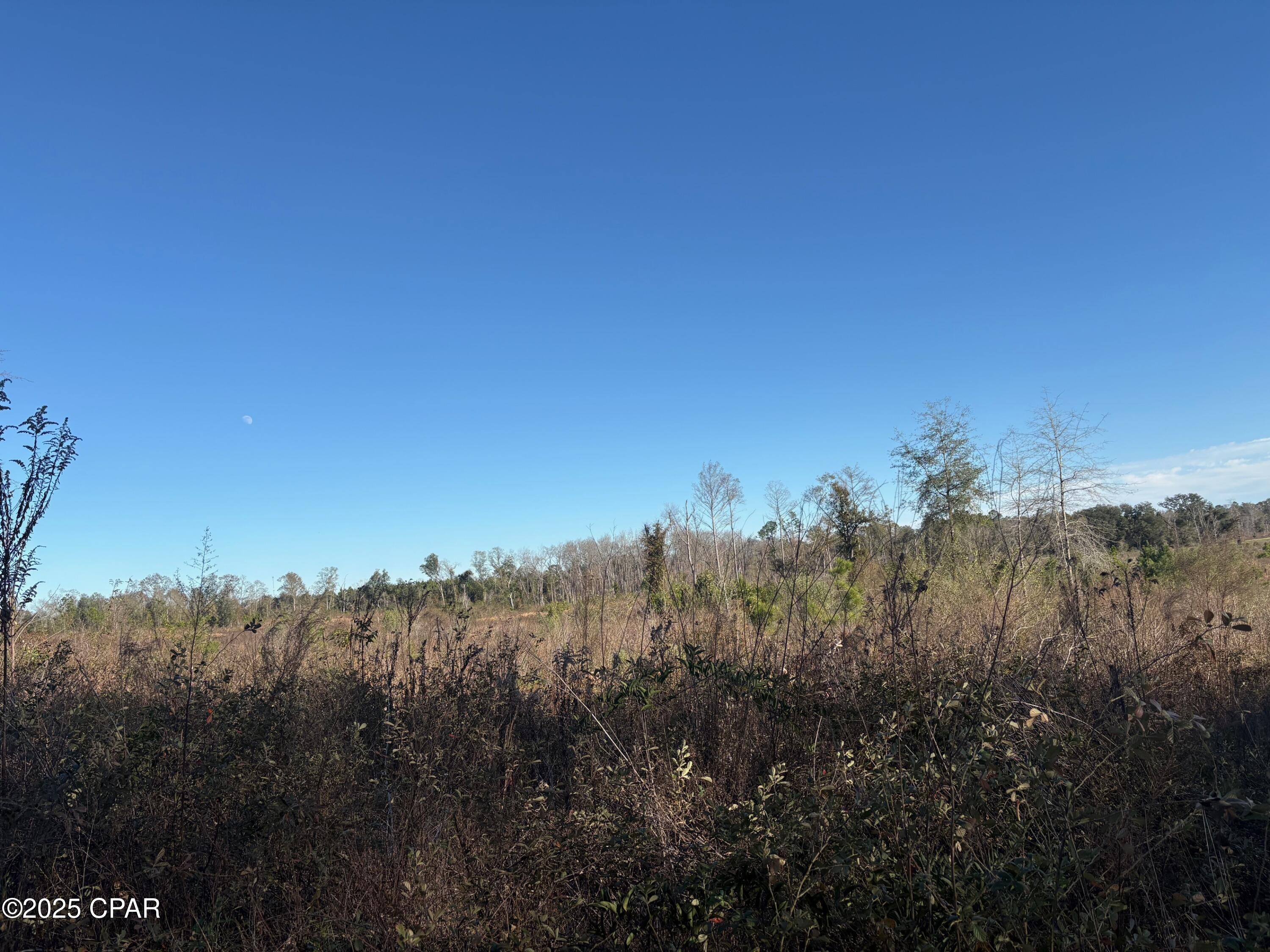 4980 Heisler Road Graceville, FL 32440 - Photo 37 of 73