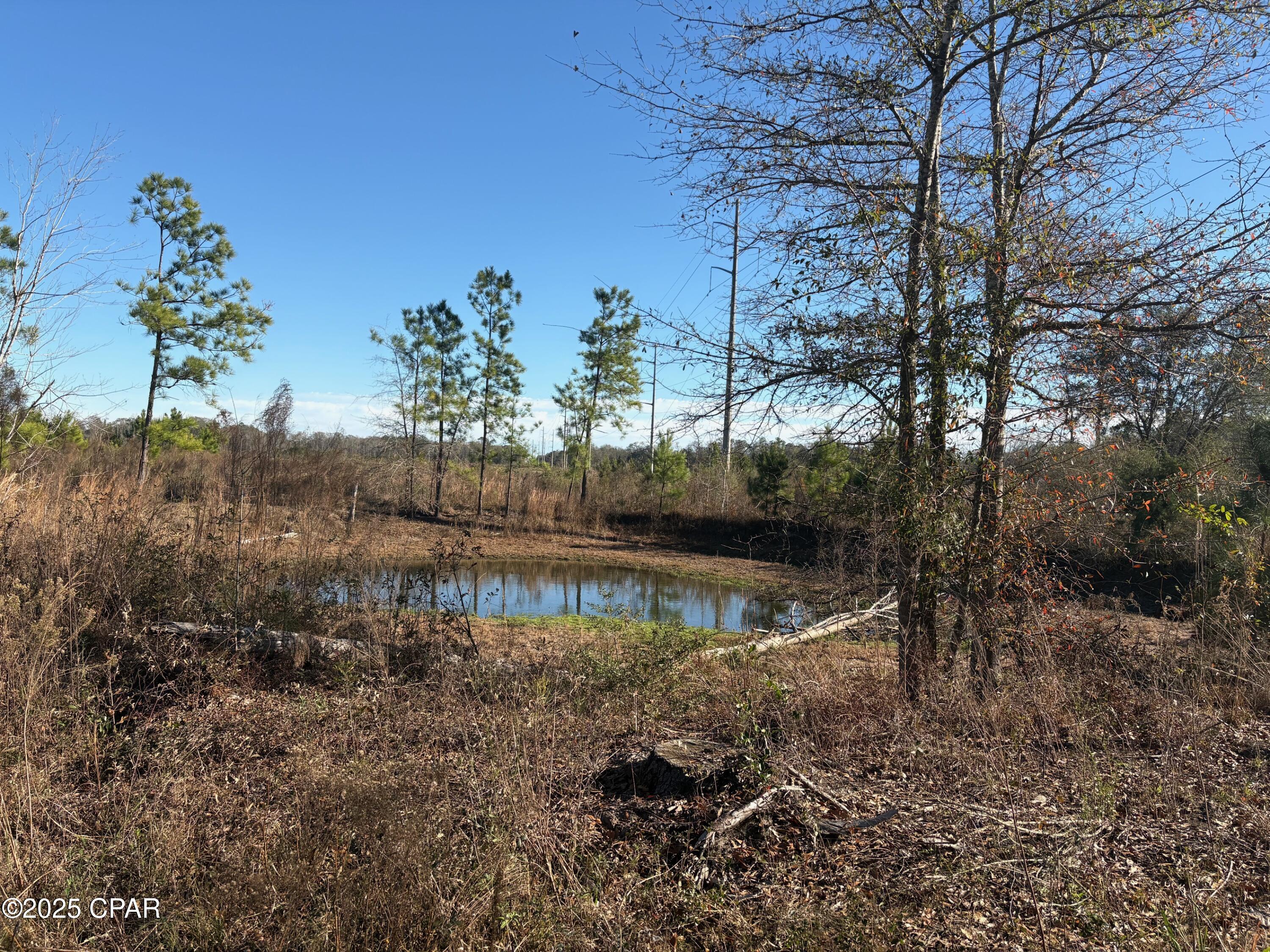 4980 Heisler Road Graceville, FL 32440 - Photo 39 of 73