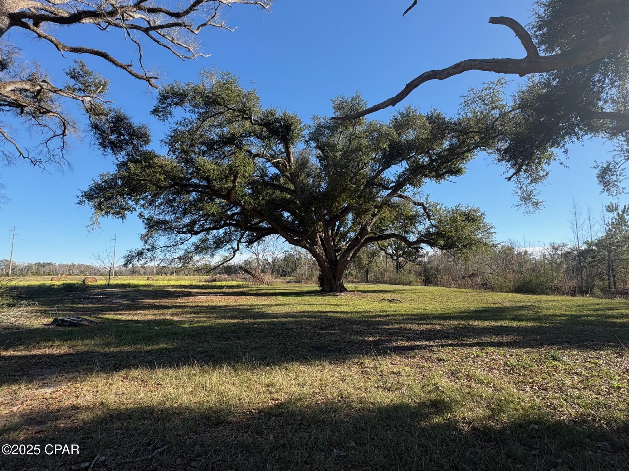4980 Heisler Road Graceville, FL 32440 - Photo 41 of 73
