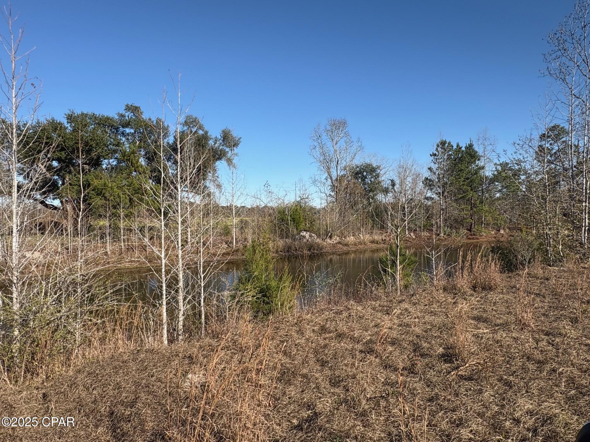 4980 Heisler Road Graceville, FL 32440 - Photo 5 of 73