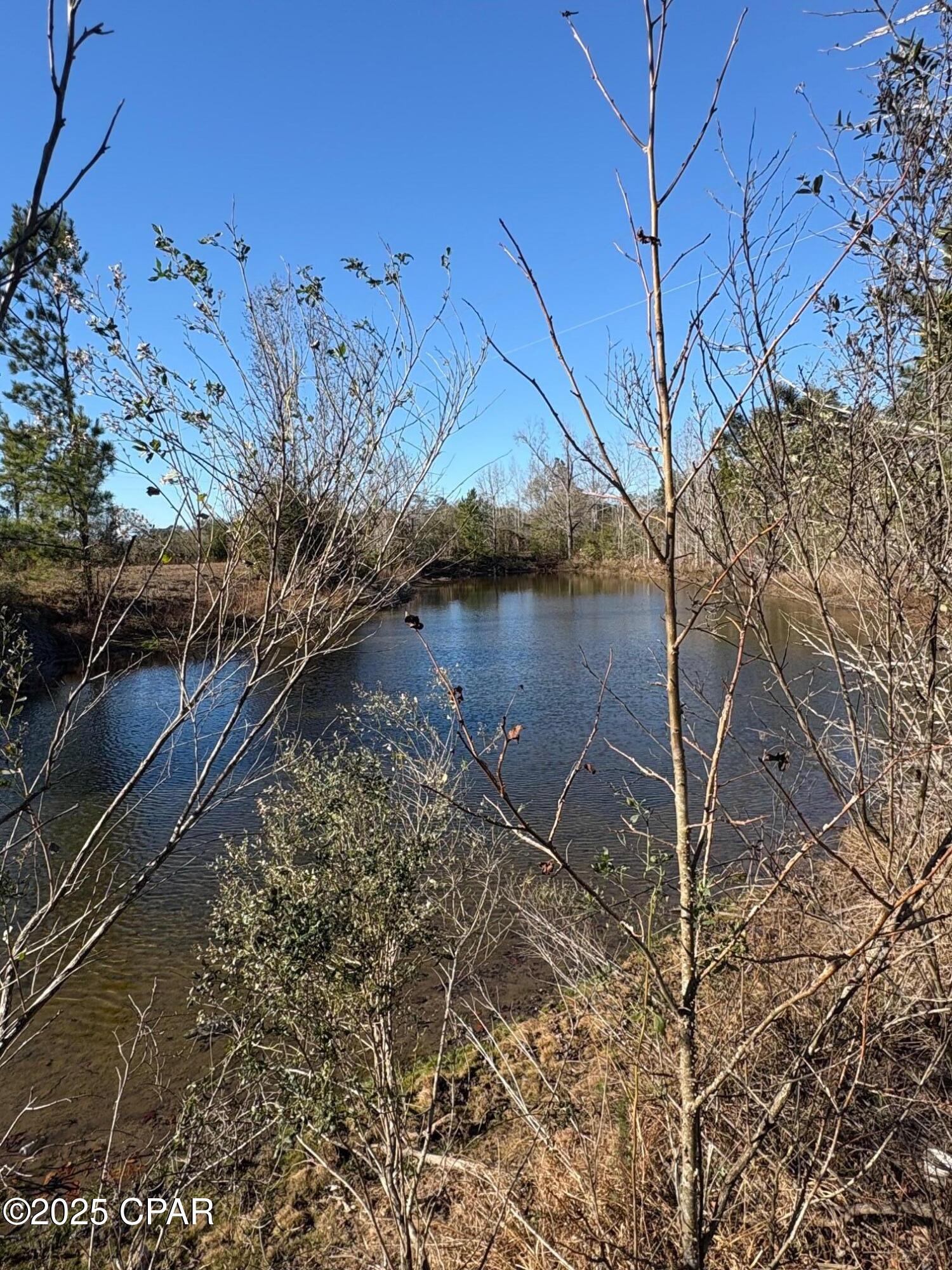 4980 Heisler Road Graceville, FL 32440 - Photo 6 of 73