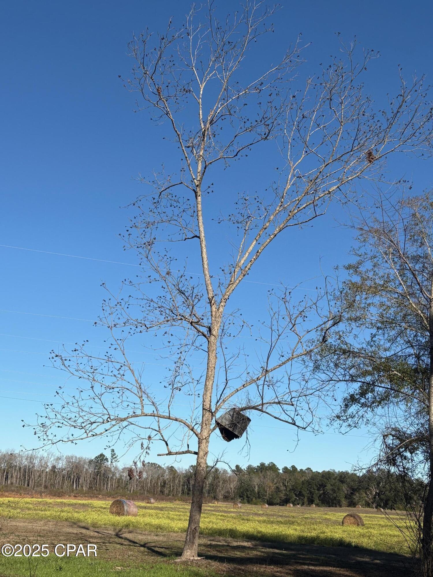 4980 Heisler Road Graceville, FL 32440 - Photo 68 of 73