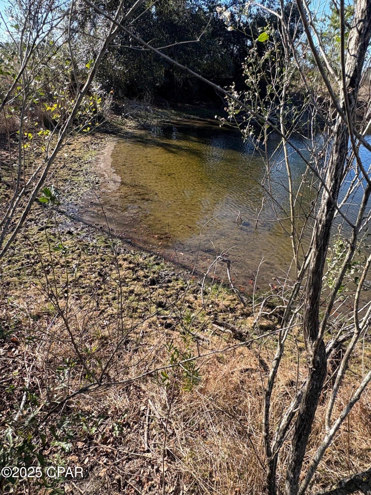 4980 Heisler Road Graceville, FL 32440 - Photo 7 of 73