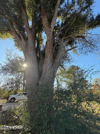 $575,000 | 4980 Heisler Road, Graceville, FL 32440