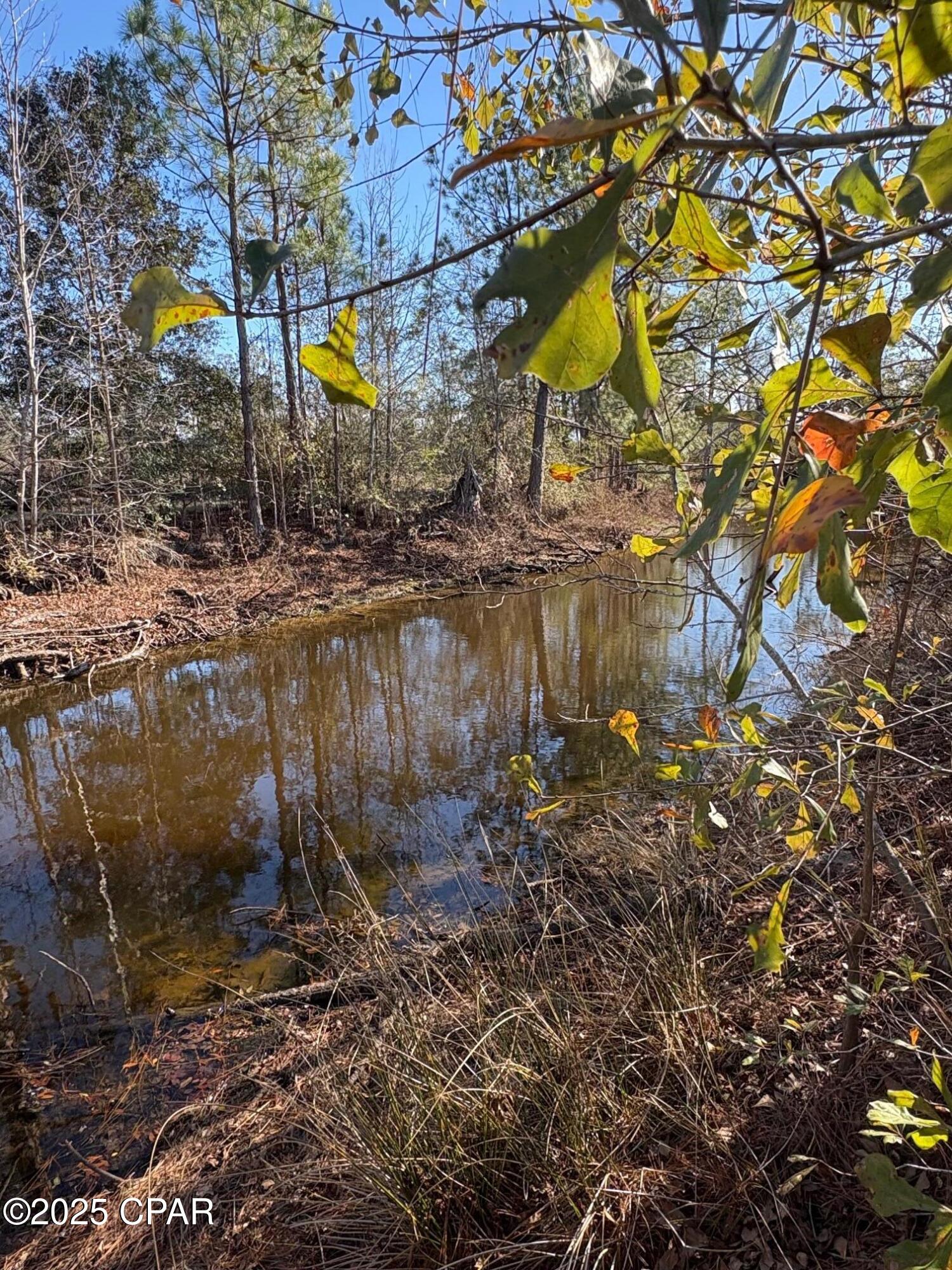 4980 Heisler Road Graceville, FL 32440 - Photo 9 of 73