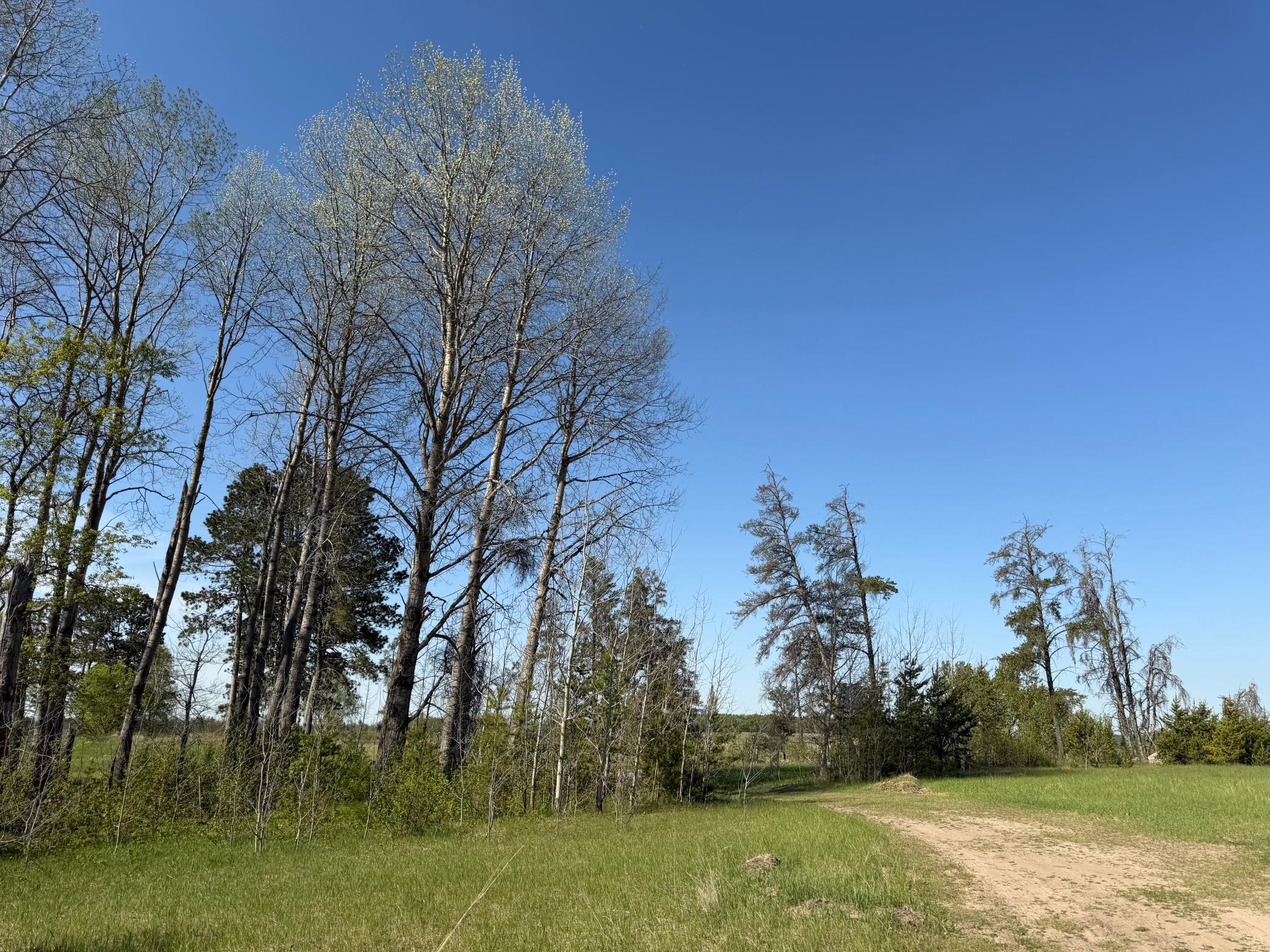 14 Sebeka Mn 56477 Sebeka, MN 56477 - Photo 27 of 79