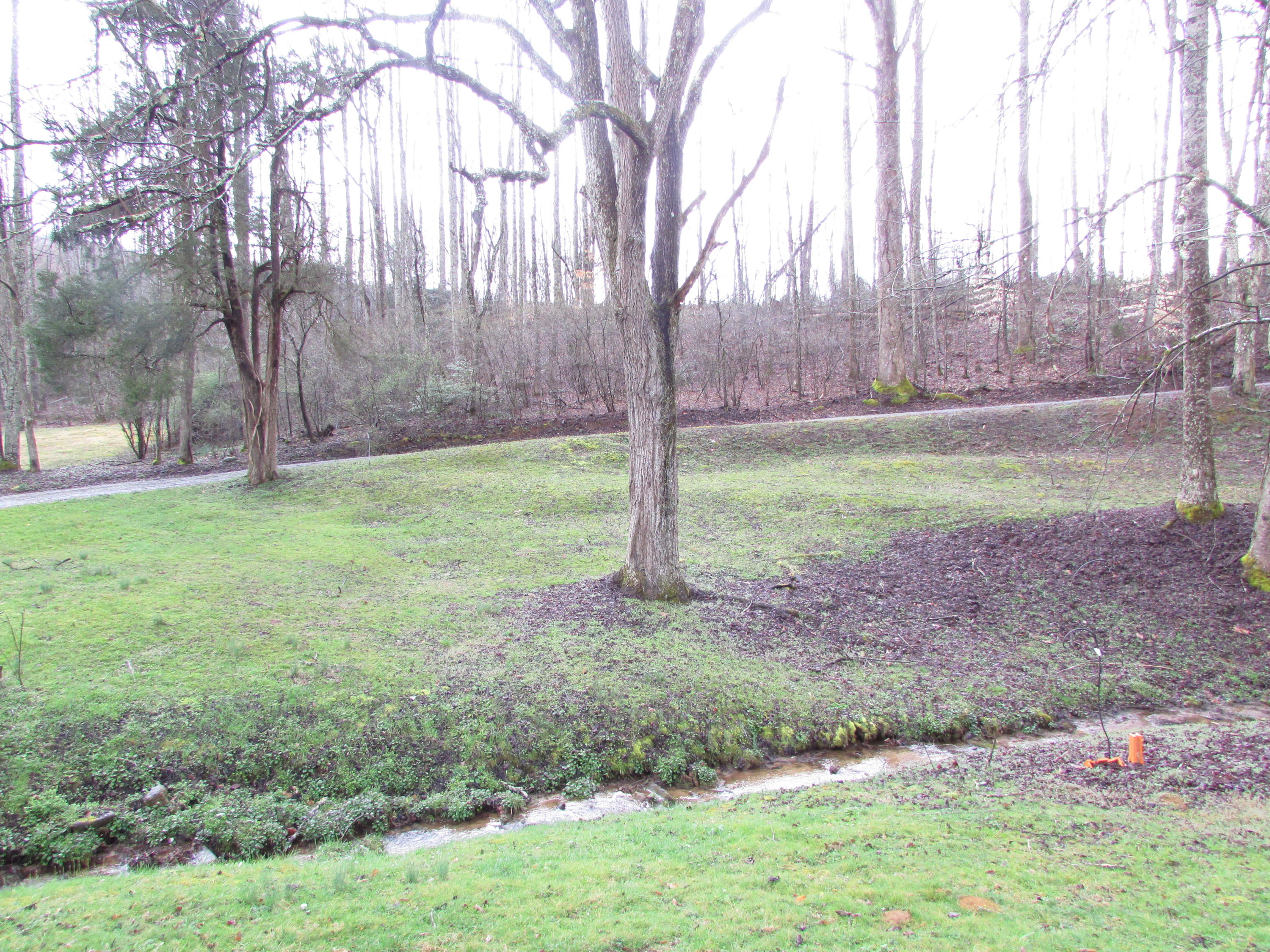 207 Blevins Hollow Road Elizabethton, TN 37643 - Photo 25 of 46 IMG_2776