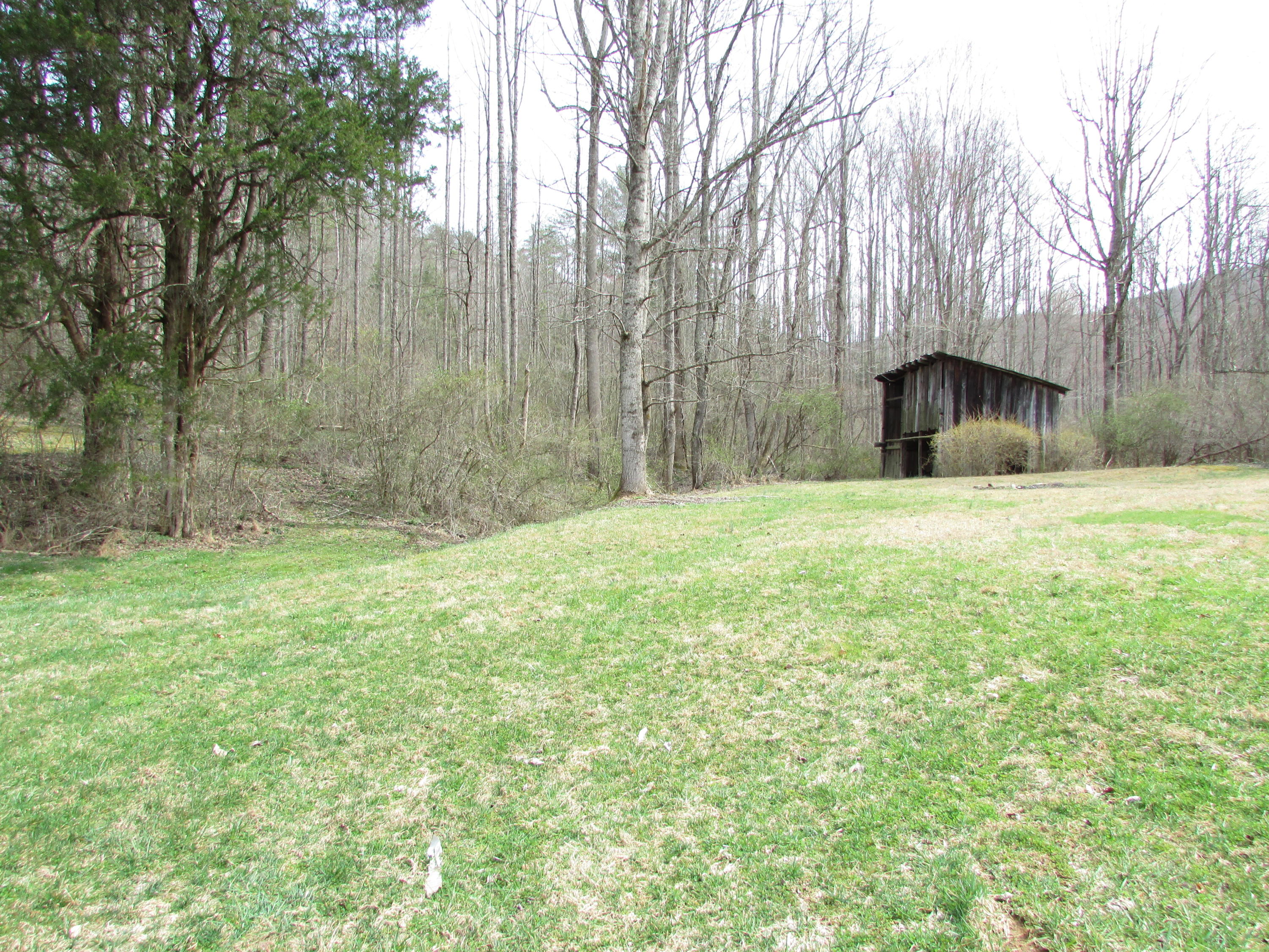 207 Blevins Hollow Road Elizabethton, TN 37643 - Photo 8 of 46 IMG_2709