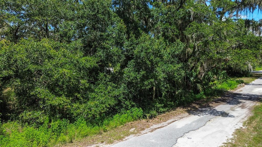 8601 West Bass Lake Road, Unit 12 Crystal River, FL 34428 - Photo 11 of 22 a view of a pathway both side of yard